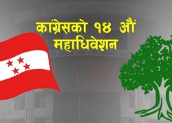 कांग्रेस लुम्बिनी प्रदेश सभापति पदमा अमरसिंह पुन, विजयी पदाधिकारीको नामावली यस्तो छ 